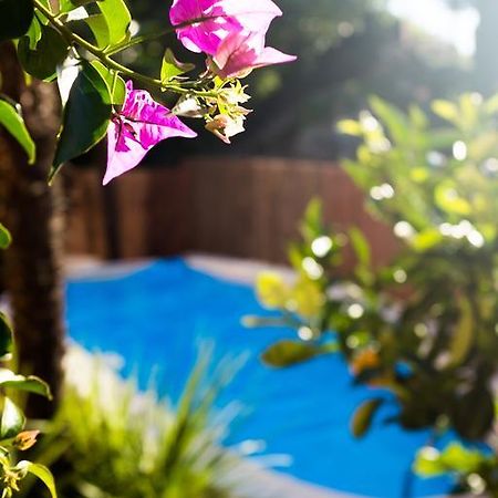 Villa Fiore Torbole Sul Garda Bagian luar foto
